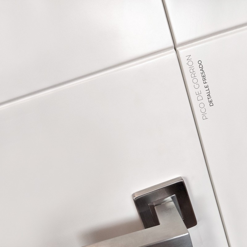 Puerta Interior Lacada Modelo Leia