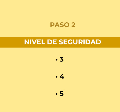 NIVEL DE SEGURIDAD