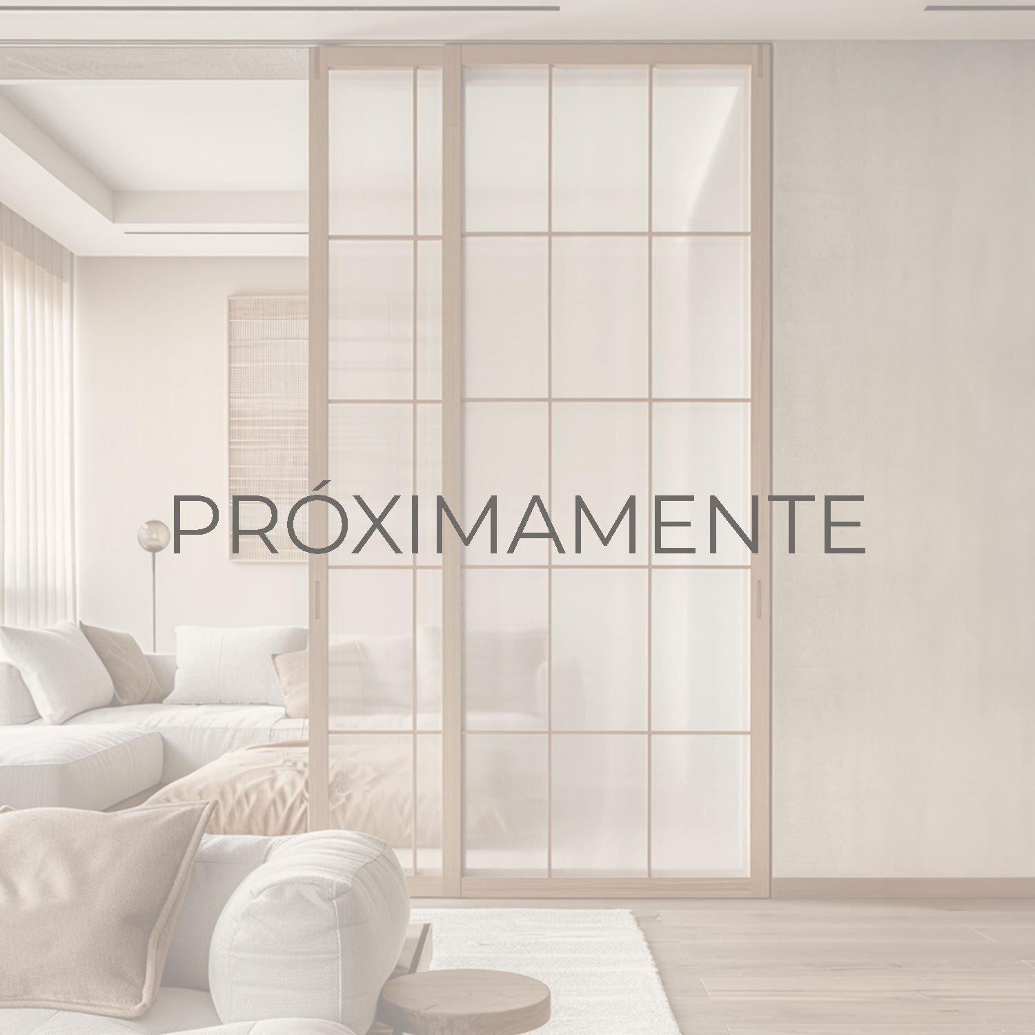 puertas industriales y japonesas